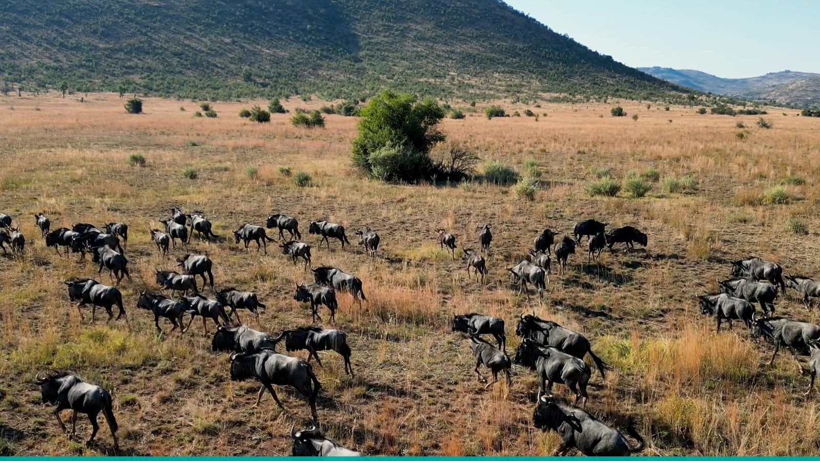 Experiencia Sudáfrica: Pretoria, safari en Pilanesberg y Ciudad del Cabo — foto 2